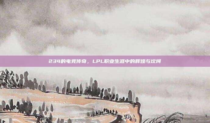 234的电竞传奇，LPL职业生涯中的辉煌与坎坷