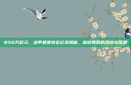 850万欧元，法甲最贵转会记录揭秘，高价背后的风险与反思