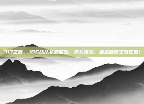 313之春，JDG战队状态回暖，势头强劲，重返巅峰之路在望！