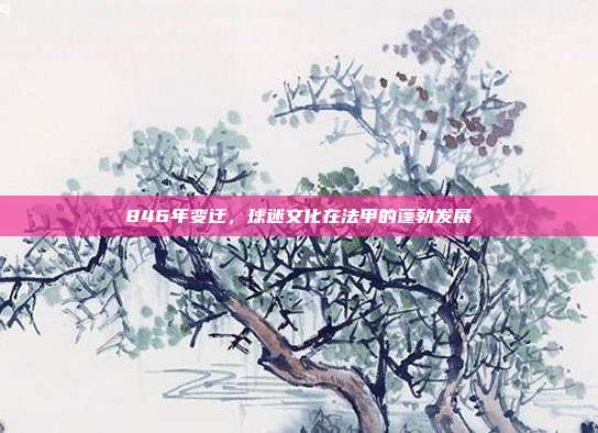 846年变迁，球迷文化在法甲的蓬勃发展