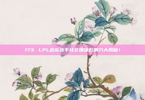 173. LPL战队选手社交媒体影响力大揭秘！