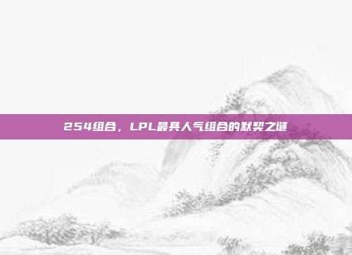 254组合，LPL最具人气组合的默契之谜