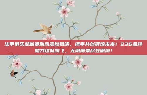 法甲俱乐部新赞助商震撼揭晓，携手共创辉煌未来！236品牌助力球队腾飞，无限前景尽在眼前！