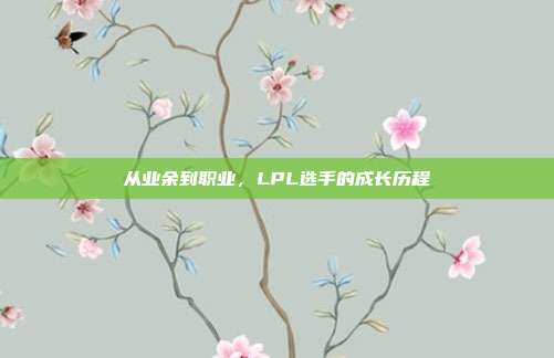 从业余到职业，LPL选手的成长历程